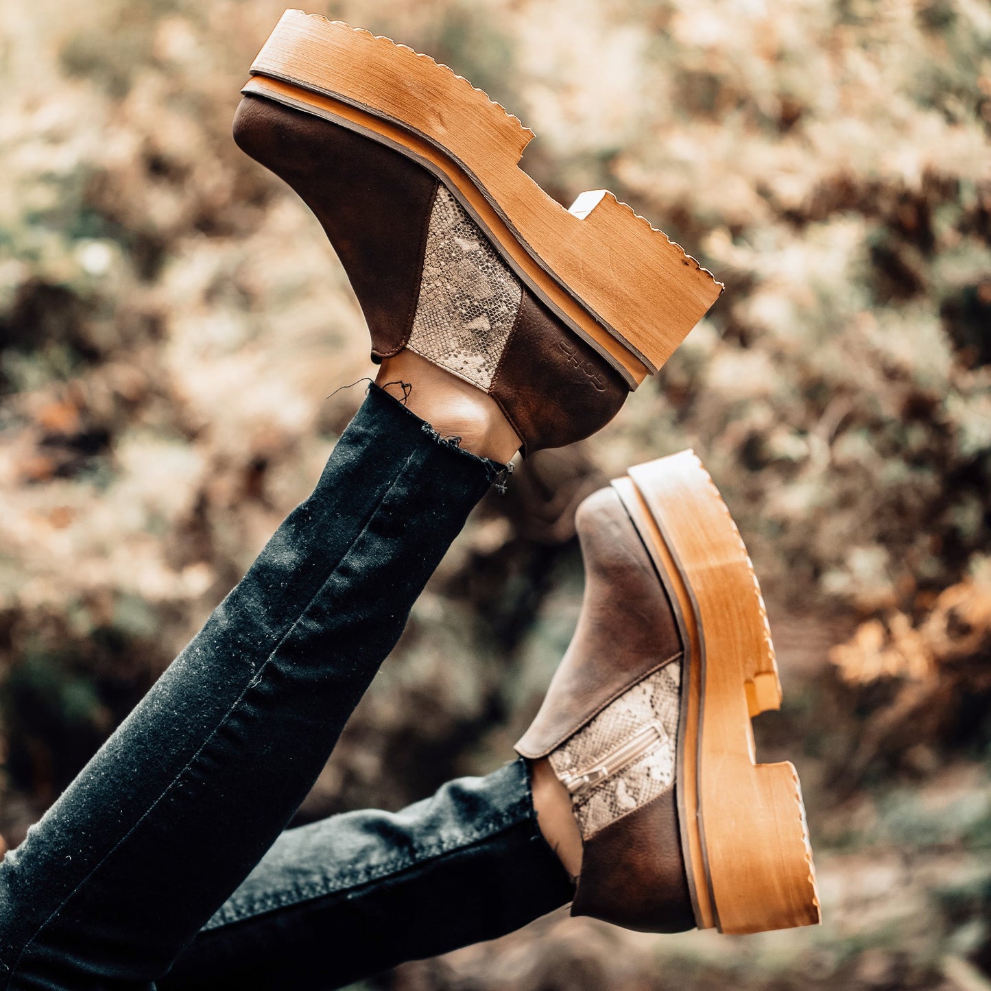 Zapato Café Mujer 15082